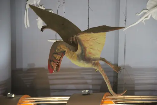 Dimorphodon, photo 3