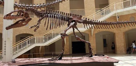 Giganotosaurus, photo 3 of 3