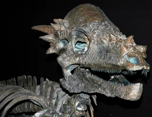 Pachycephalosaurus, photo 2 of 3