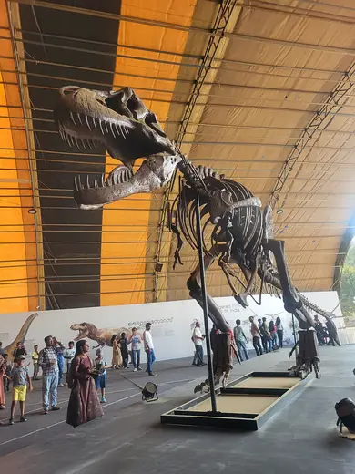 Tyrannosaurus rex, photo 2 of 3