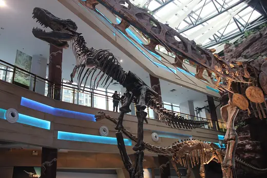 Tyrannosaurus rex, photo 3 of 3